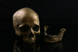 Skull Halloween Home Decoration Ornaments Antique
