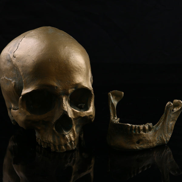 Skull Halloween Home Decoration Ornaments Antique